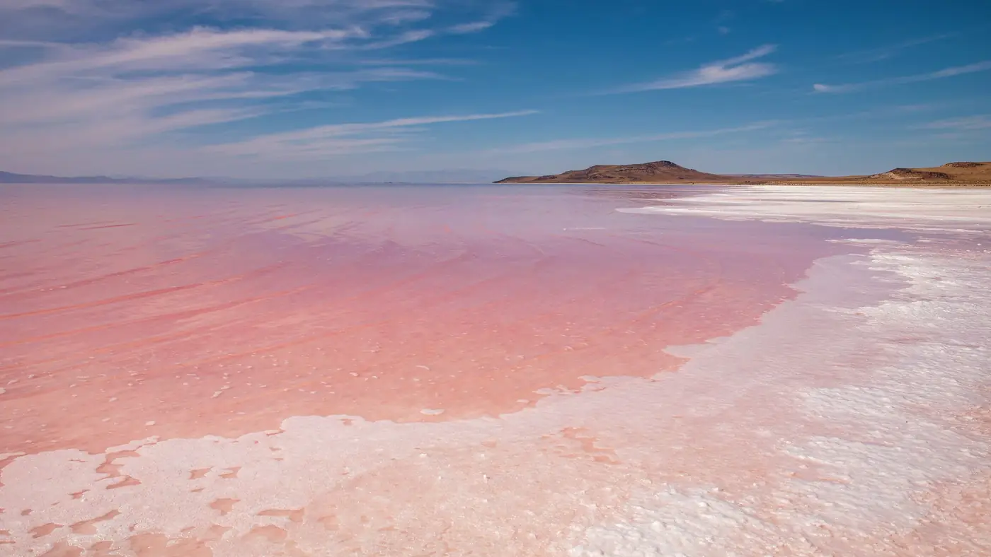 Pink-tinted shallows along the Great Salt Lake