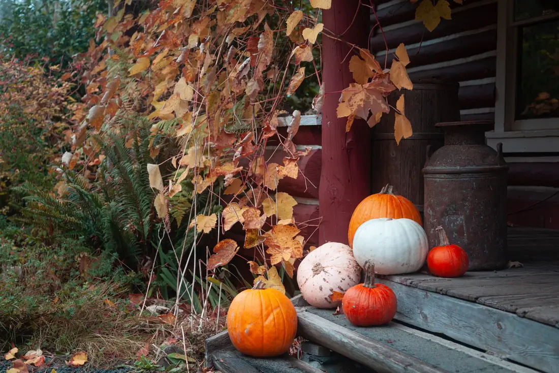 Pumpkins and autumn leaves on a wooden porch